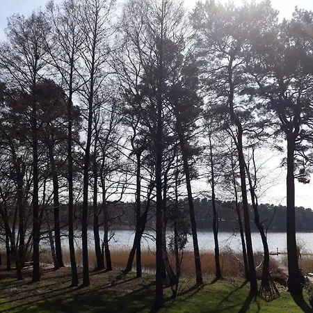 Apartment Simon Grune Idylle Im Wald Direkt Am