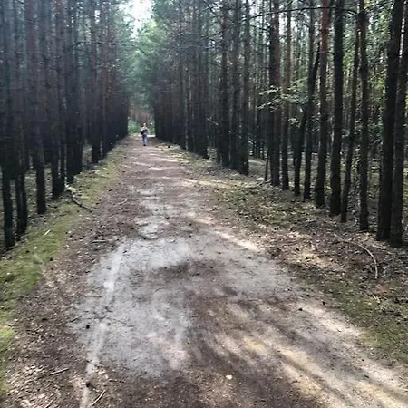 Simon Grune Idylle Im Wald Direkt Am Apartment Wendisch Rietz